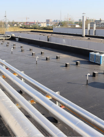 Anhui Xiaxing Food factory, Lu'an